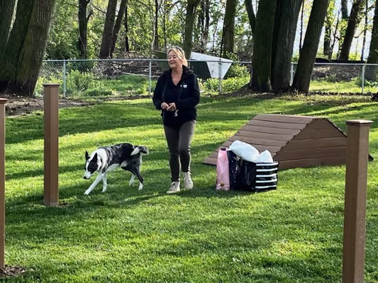 Rotary Dog Park photo 2